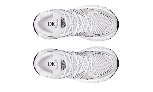 Dior B35 Nxxt "White"