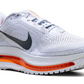 Nike Pegasus Premium "Airscape"