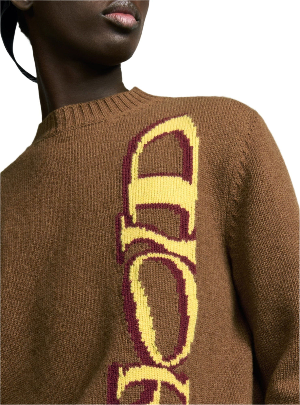 DIOR AND LEWIS HAMILTON Sweater