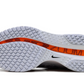Nike Pegasus Premium "Airscape"