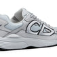 Dior B30 "Grey"